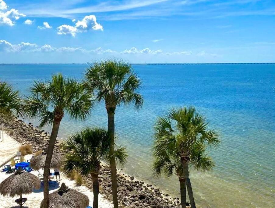 Villa On The Rocks Tampa Exterior foto